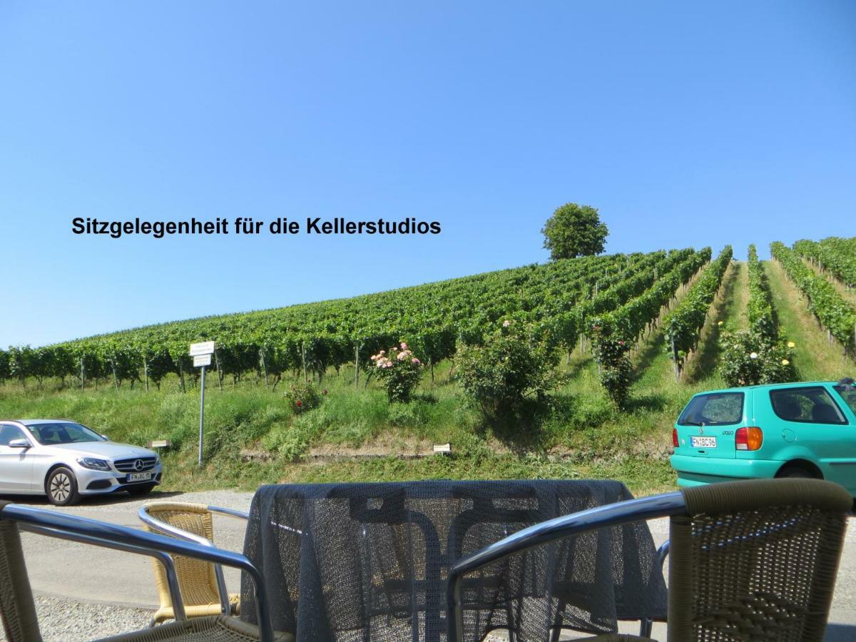 Gaestehaus Sommertal Mit Pool Im Garten, Eigener Parkplatz, 800M Zum Bodensee, 300M Zur Altstadt メーアスブルク エクステリア 写真
